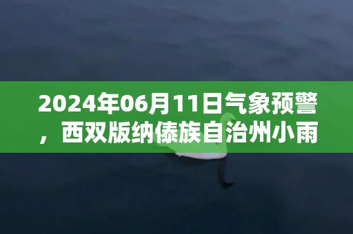 2024年06月11日气象预警，西双版纳傣族自治州小雨最高气温31℃