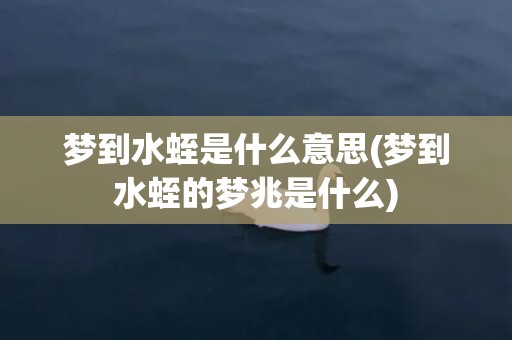 梦到水蛭是什么意思(梦到水蛭的梦兆是什么)