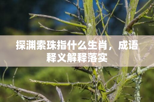 探渊索珠指什么生肖，成语释义解释落实
