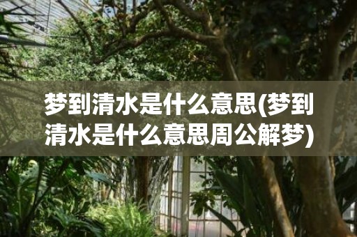 梦到清水是什么意思(梦到清水是什么意思周公解梦)