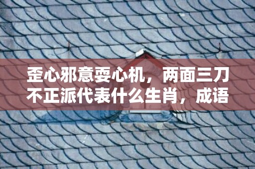 歪心邪意耍心机，两面三刀不正派代表什么生肖，成语释义解释落实