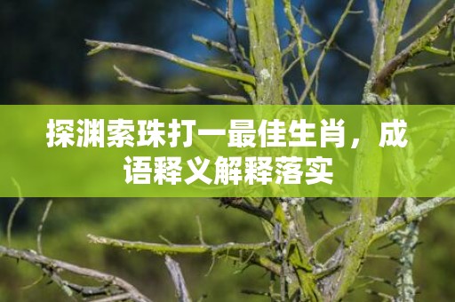 探渊索珠打一最佳生肖，成语释义解释落实插图