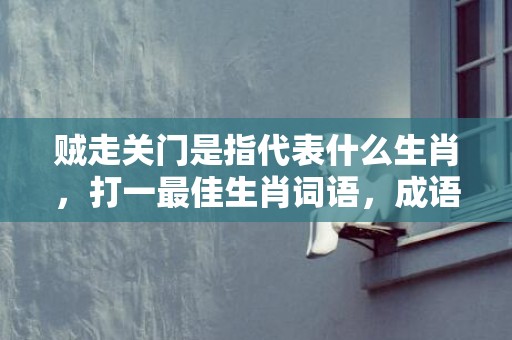 贼走关门是指代表什么生肖，打一最佳生肖词语，成语释义解释落实