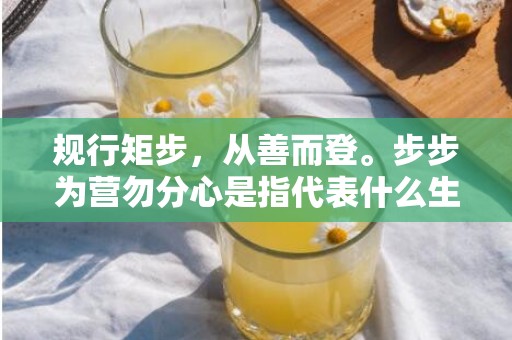 规行矩步，从善而登。步步为营勿分心是指代表什么生肖，打一最佳生肖词语，成语释义解释落实插图