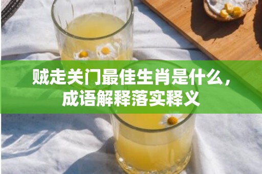 贼走关门最佳生肖是什么，成语解释落实释义插图