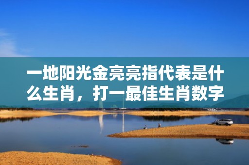一地阳光金亮亮指代表是什么生肖，打一最佳生肖数字词语，解释落实释义插图
