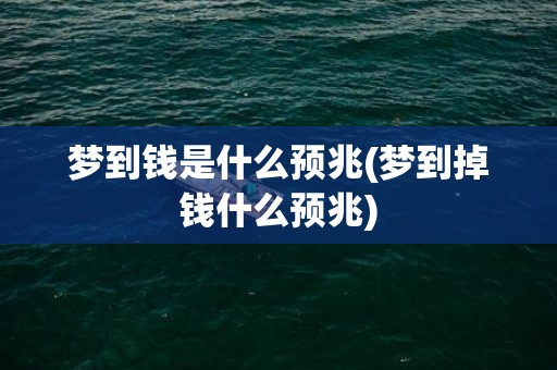 梦到钱是什么预兆(梦到掉钱什么预兆)