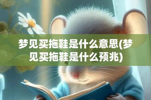 梦见买拖鞋是什么意思(梦见买拖鞋是什么预兆)