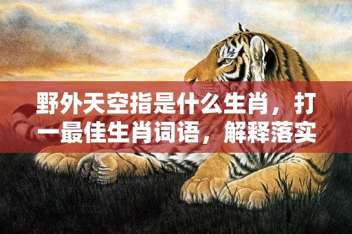 野外天空指是什么生肖，打一最佳生肖词语，解释落实词语释义