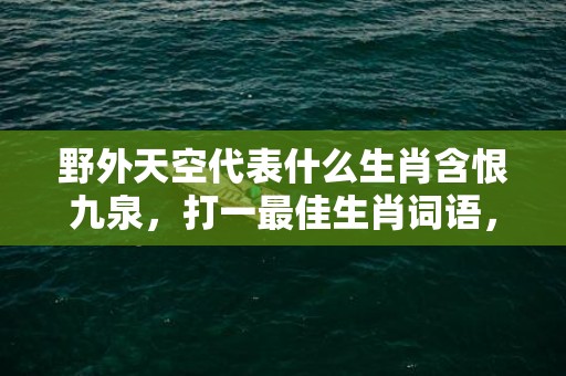 野外天空代表什么生肖含恨九泉，打一最佳生肖词语，解释落实词语释义插图