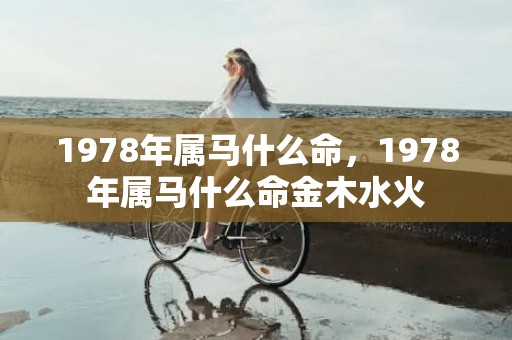 1978年属马什么命，1978年属马什么命金木水火