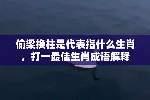 偷梁换柱是代表指什么生肖，打一最佳生肖成语解释