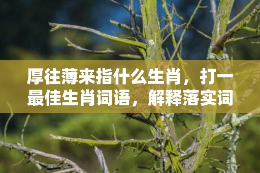 厚往薄来指什么生肖，打一最佳生肖词语，解释落实词语释义
