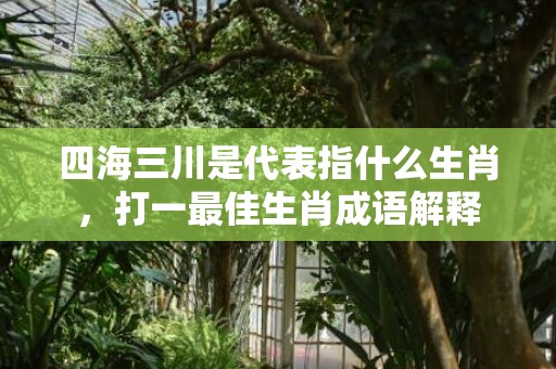 四海三川是代表指什么生肖，打一最佳生肖成语解释插图