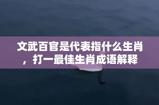文武百官是代表指什么生肖，打一最佳生肖成语解释