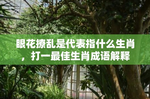 眼花撩乱是代表指什么生肖，打一最佳生肖成语解释插图