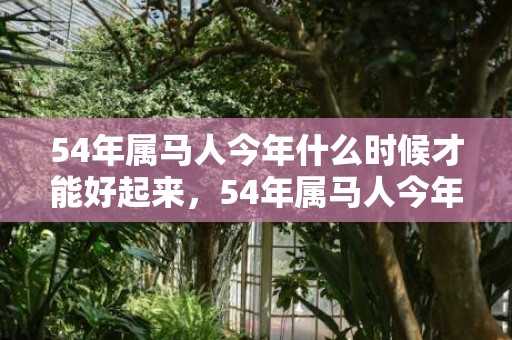 54年属马人今年什么时候才能好起来，54年属马人今年身体怎么样