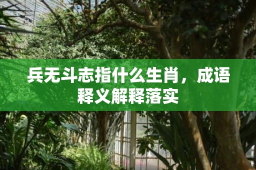 兵无斗志指什么生肖，成语释义解释落实