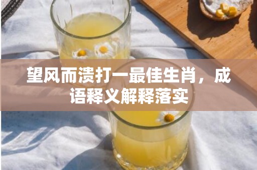 望风而溃打一最佳生肖，成语释义解释落实插图
