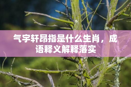 气宇轩昂指是什么生肖，成语释义解释落实插图