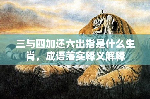 三与四加还六出指是什么生肖，成语落实释义解释插图