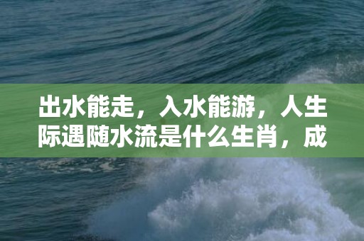 出水能走，入水能游，人生际遇随水流是什么生肖，成语释义解释落实插图