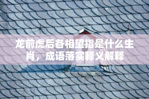龙前虎后各相望指是什么生肖，成语落实释义解释插图