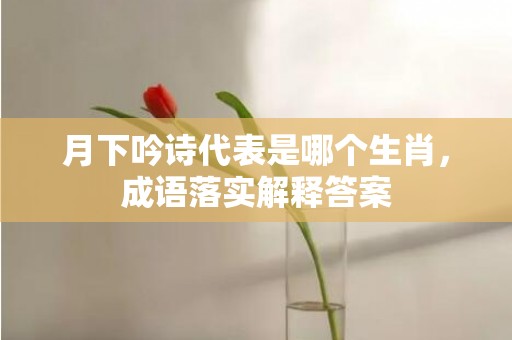 月下吟诗代表是哪个生肖，成语落实解释答案插图