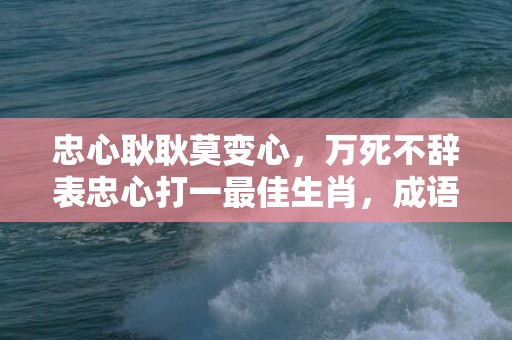 忠心耿耿莫变心，万死不辞表忠心打一最佳生肖，成语释义解释落实插图