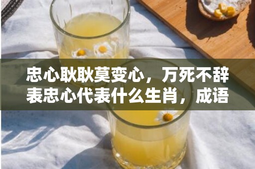 忠心耿耿莫变心，万死不辞表忠心代表什么生肖，成语释义解释落实插图