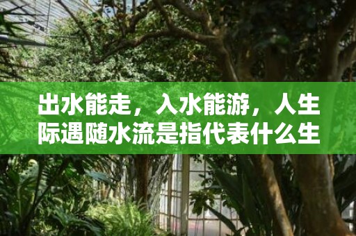 出水能走，入水能游，人生际遇随水流是指代表什么生肖，词语解释落实插图