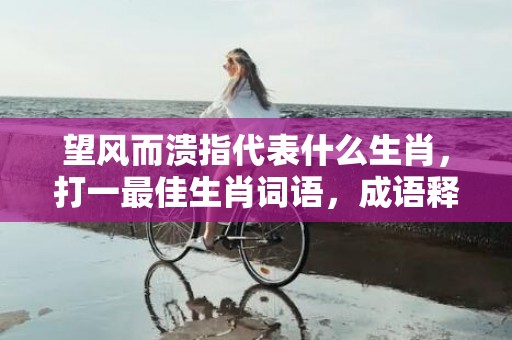 望风而溃指代表什么生肖，打一最佳生肖词语，成语释义解释落实插图