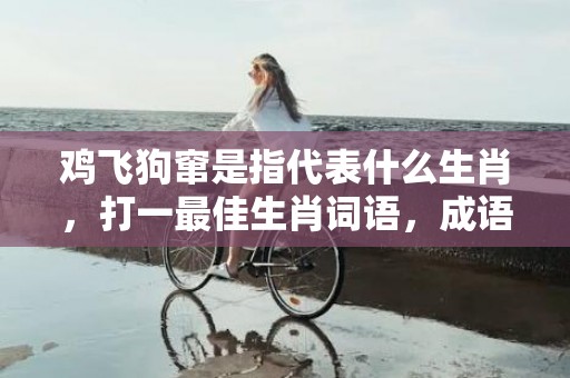 鸡飞狗窜是指代表什么生肖，打一最佳生肖词语，成语释义解释落实插图