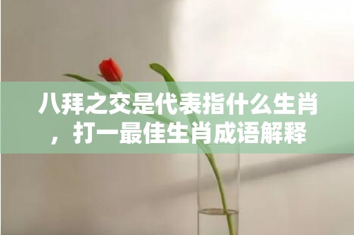 八拜之交是代表指什么生肖，打一最佳生肖成语解释插图