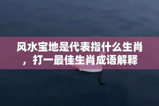 风水宝地是代表指什么生肖，打一最佳生肖成语解释插图