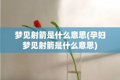 梦见射箭是什么意思(孕妇梦见射箭是什么意思)