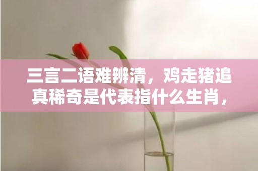 三言二语难辨清，鸡走猪追真稀奇是代表指什么生肖，打一最佳生肖成语解释插图