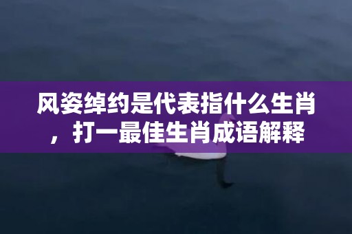 风姿绰约是代表指什么生肖，打一最佳生肖成语解释