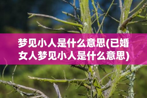 梦见小人是什么意思(已婚女人梦见小人是什么意思)