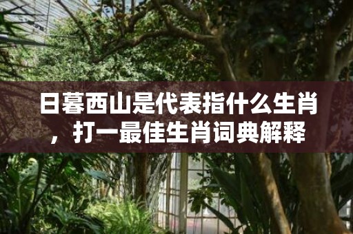 日暮西山是代表指什么生肖，打一最佳生肖词典解释