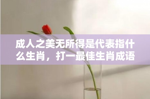 成人之美无所得是代表指什么生肖，打一最佳生肖成语解释