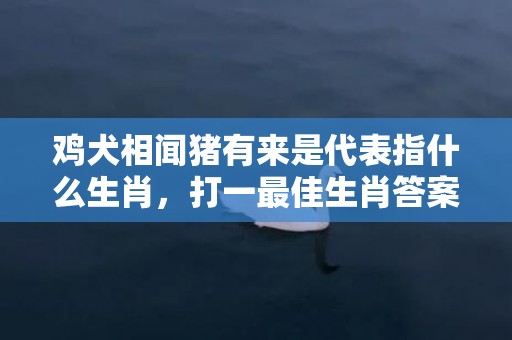 鸡犬相闻猪有来是代表指什么生肖，打一最佳生肖答案解释