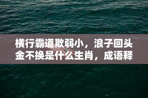 横行霸道欺弱小，浪子回头金不换是什么生肖，成语释义解释落实