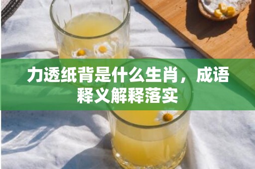 力透纸背是什么生肖，成语释义解释落实