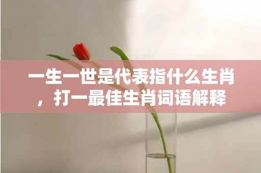 一生一世是代表指什么生肖，打一最佳生肖词语解释