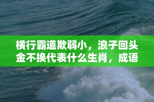 横行霸道欺弱小，浪子回头金不换代表什么生肖，成语释义解释落实插图