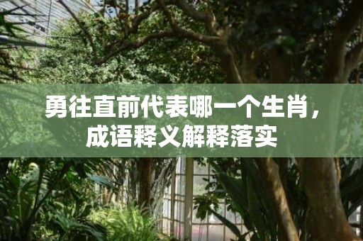 勇往直前代表哪一个生肖，成语释义解释落实插图