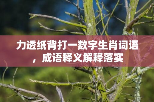 力透纸背打一数字生肖词语，成语释义解释落实插图