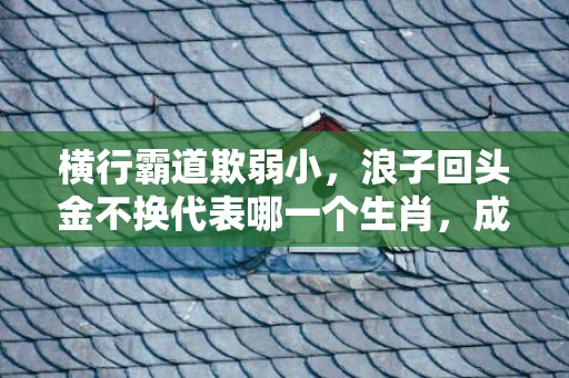 横行霸道欺弱小，浪子回头金不换代表哪一个生肖，成语释义解释落实插图