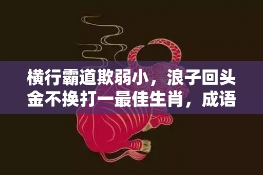 横行霸道欺弱小，浪子回头金不换打一最佳生肖，成语释义解释落实插图